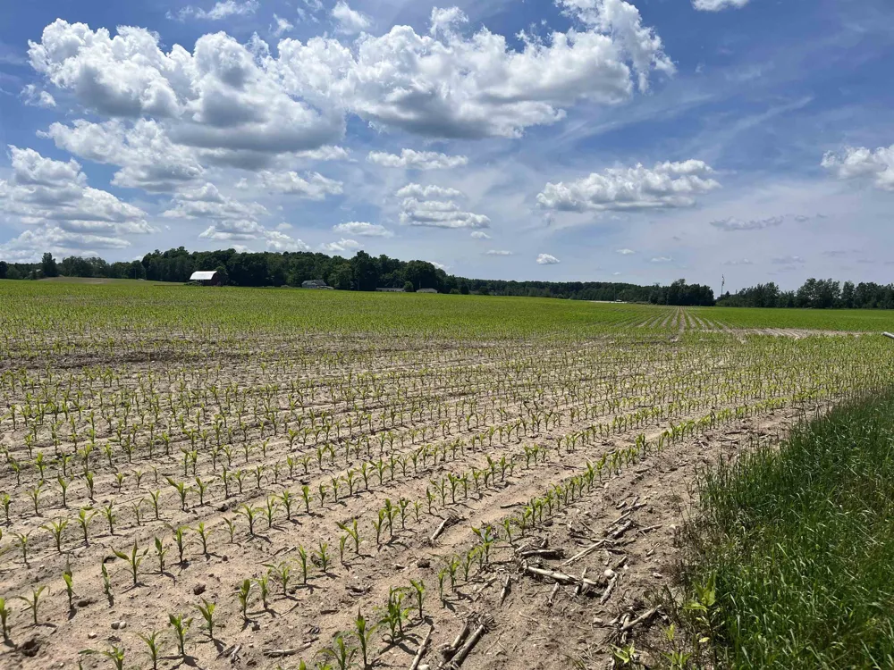 8474 M-115 Clam Lake Township, MI 49601