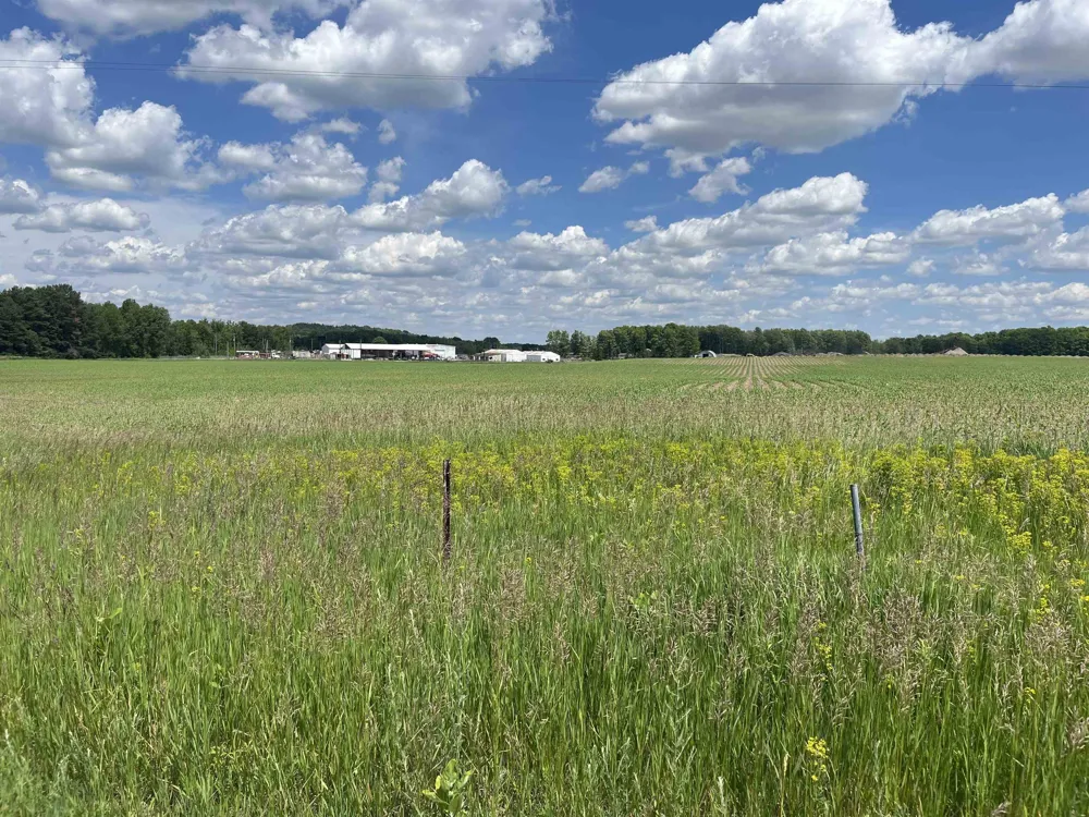 8474 M-115 Clam Lake Township, MI 49601