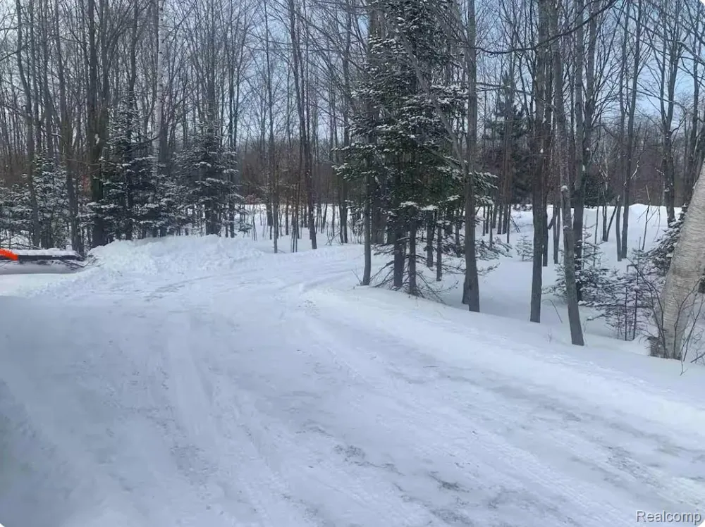 33902 W Birch Shores Drive Trout Lake Township, MI 49793