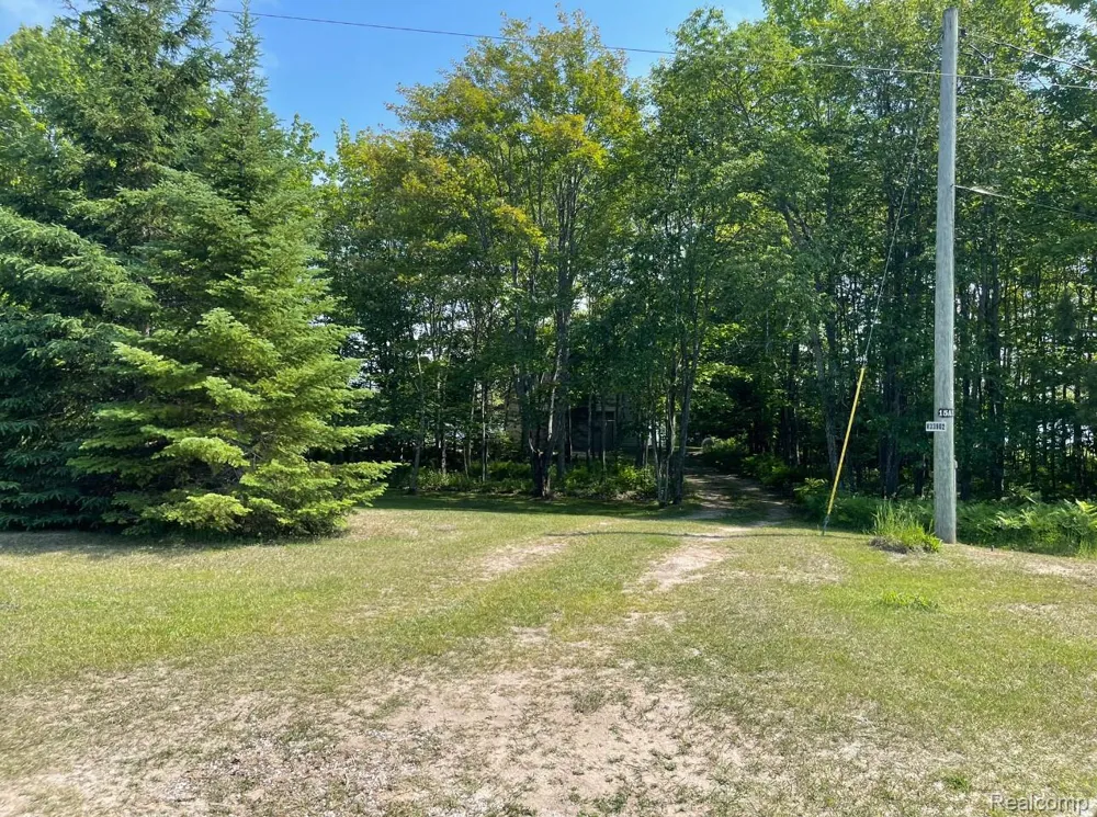 33902 W Birch Shores Drive Trout Lake Township, MI 49793