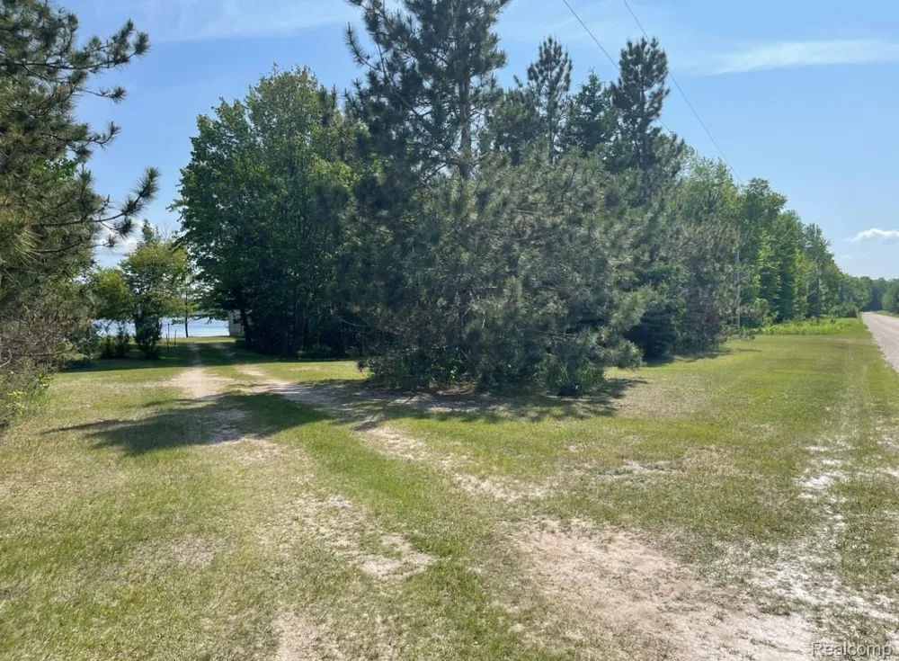 33902 W Birch Shores Drive Trout Lake Township, MI 49793