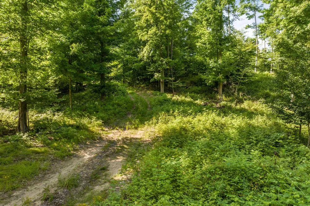 Hjelte Road Torch Lake Township, MI 49648
