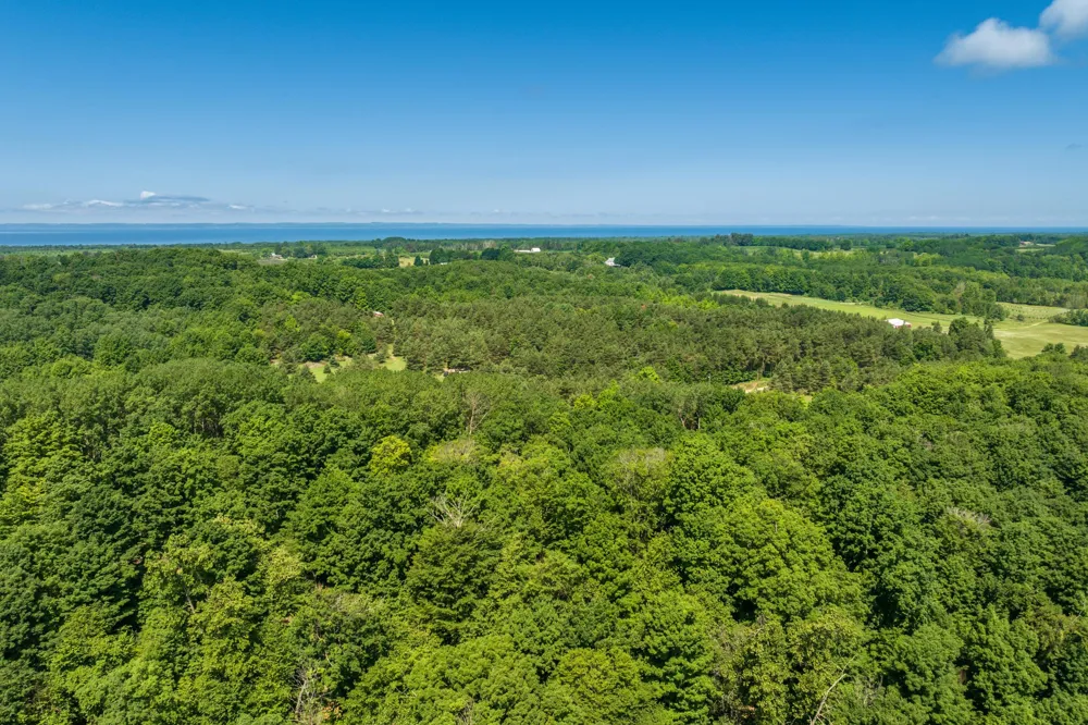 Hjelte Road Torch Lake Township, MI 49648