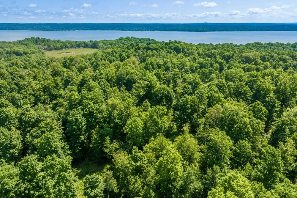 Hjelte Road Torch Lake Township, MI 49648
