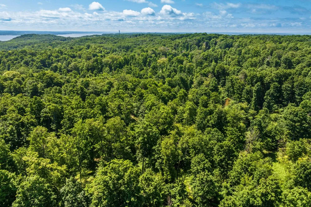 Hjelte Road Torch Lake Township, MI 49648