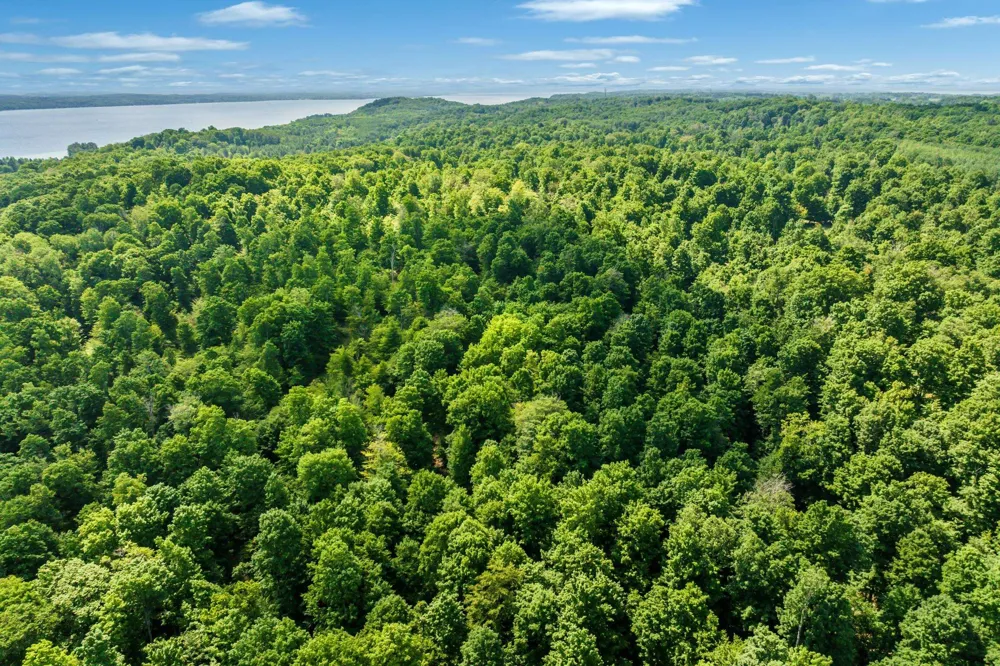 Hjelte Road Torch Lake Township, MI 49648