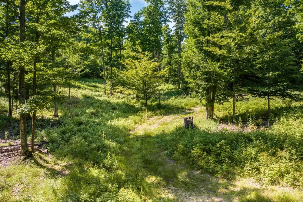 Hjelte Road Torch Lake Township, MI 49648