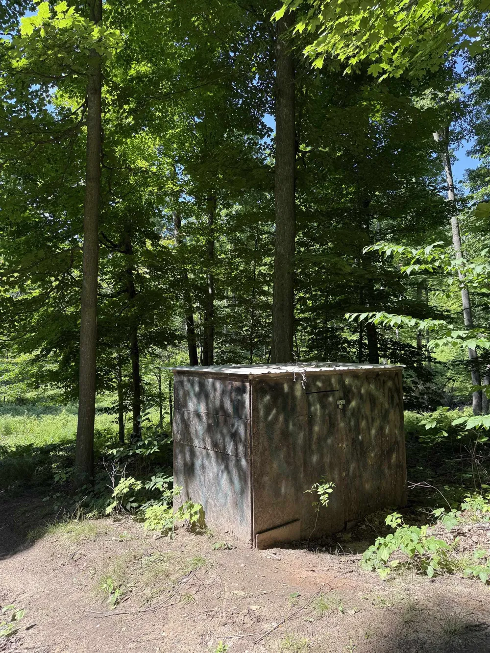 Hjelte Road Torch Lake Township, MI 49648