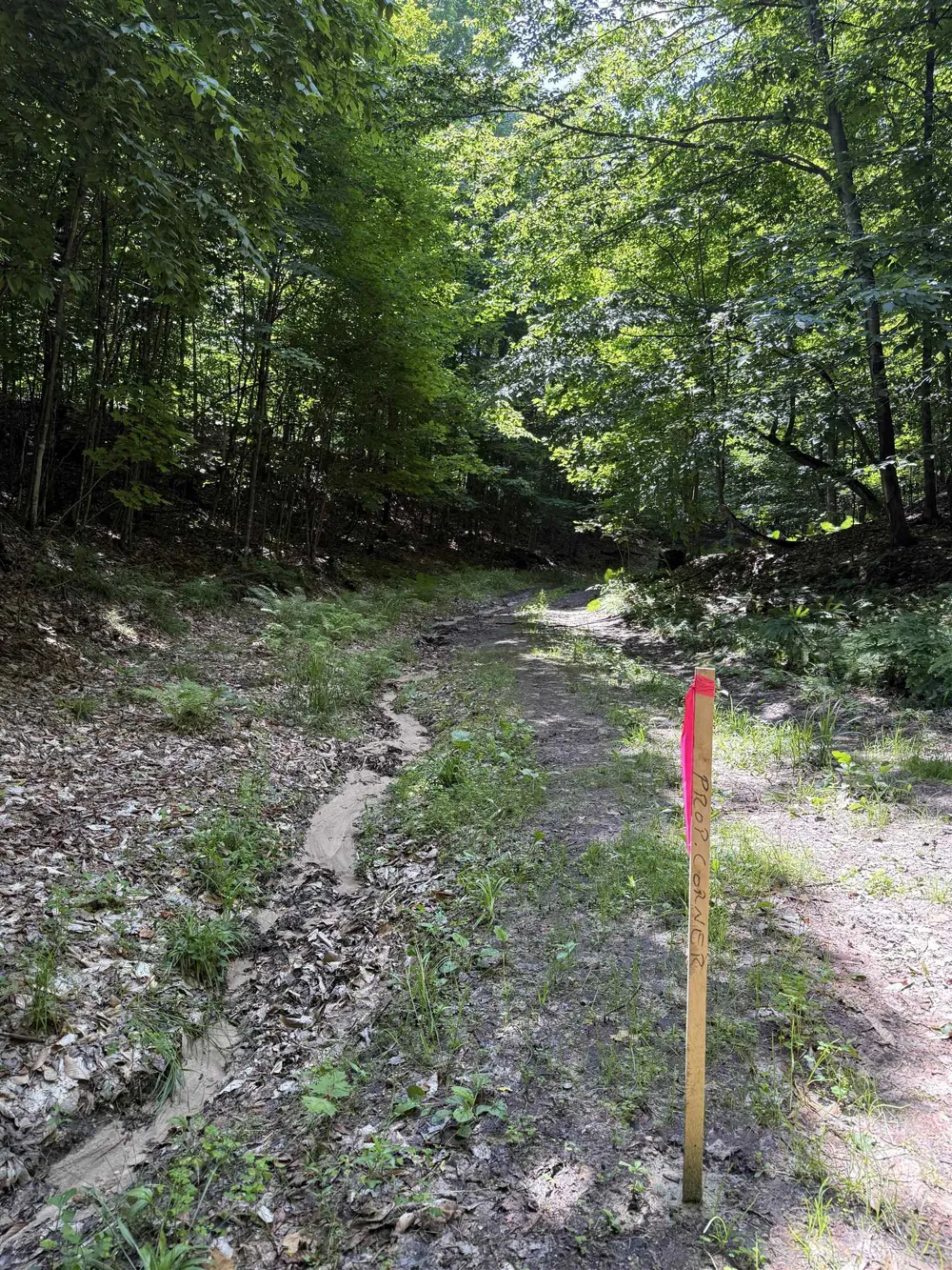 Hjelte Road Torch Lake Township, MI 49648