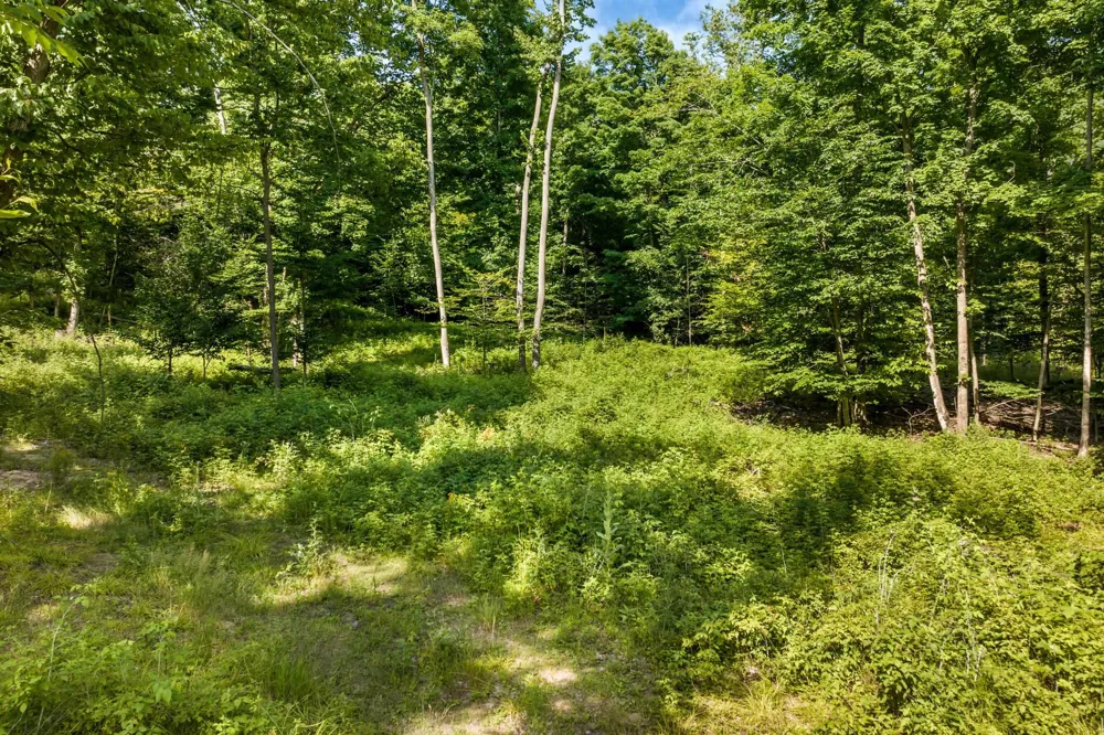 Hjelte Road Torch Lake Township, MI 49648