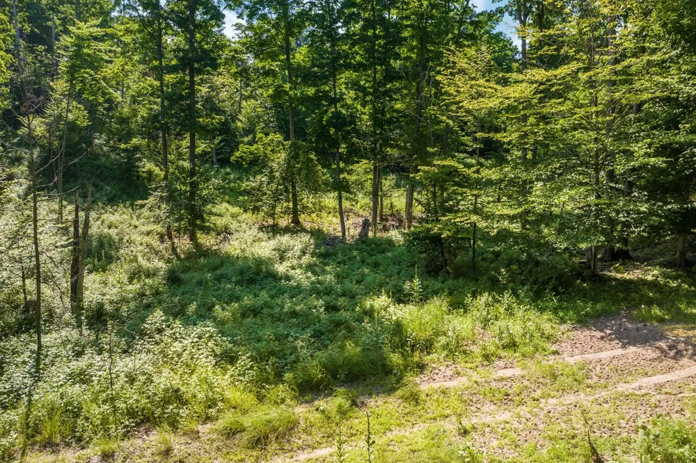 Hjelte Road Torch Lake Township, MI 49648