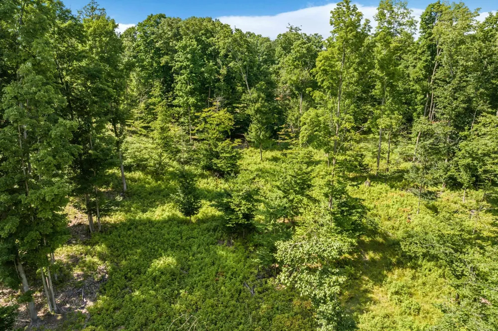 Hjelte Road Torch Lake Township, MI 49648