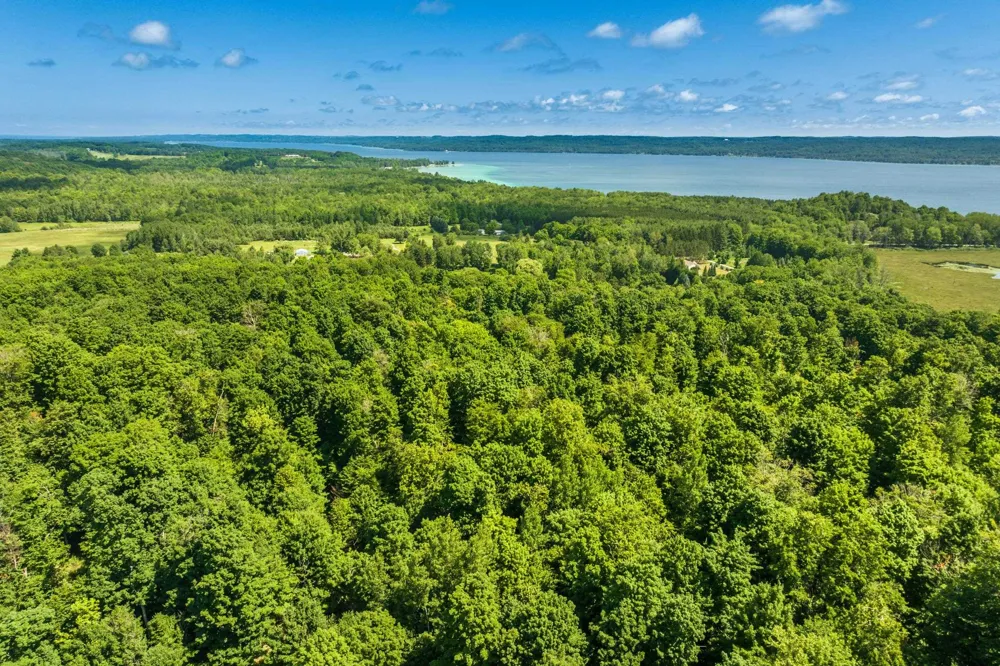 Hjelte Road Torch Lake Township, MI 49648