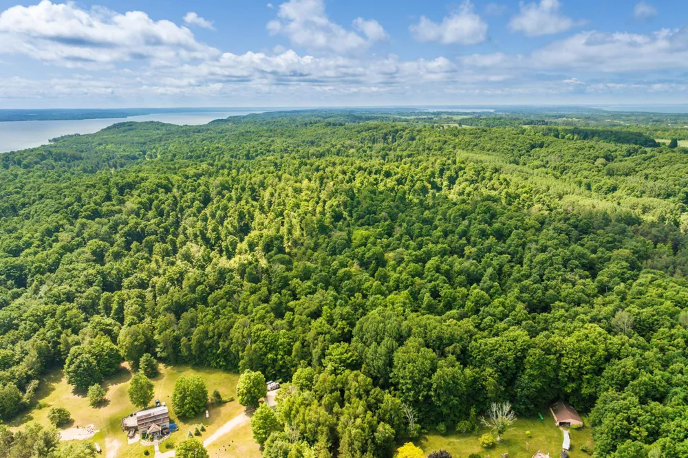 Hjelte Road Torch Lake Township, MI 49648