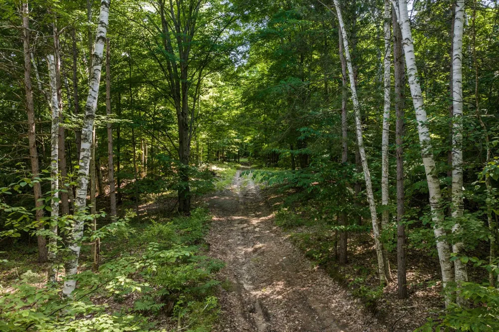 Hjelte Road Torch Lake Township, MI 49648