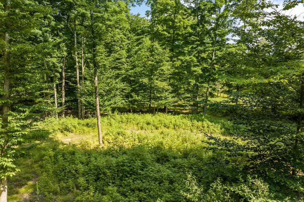 Hjelte Road Torch Lake Township, MI 49648