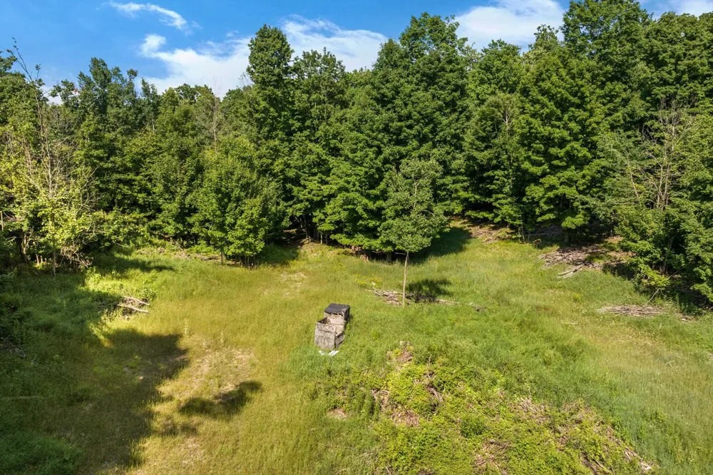 Hjelte Road Torch Lake Township, MI 49648
