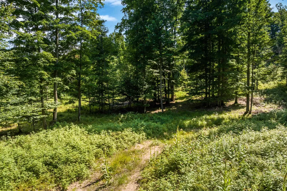 Hjelte Road Torch Lake Township, MI 49648