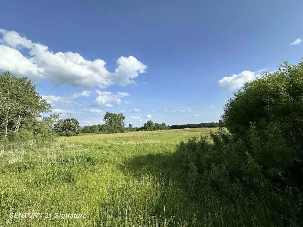 60 Estey Road Billings Township, MI 48612