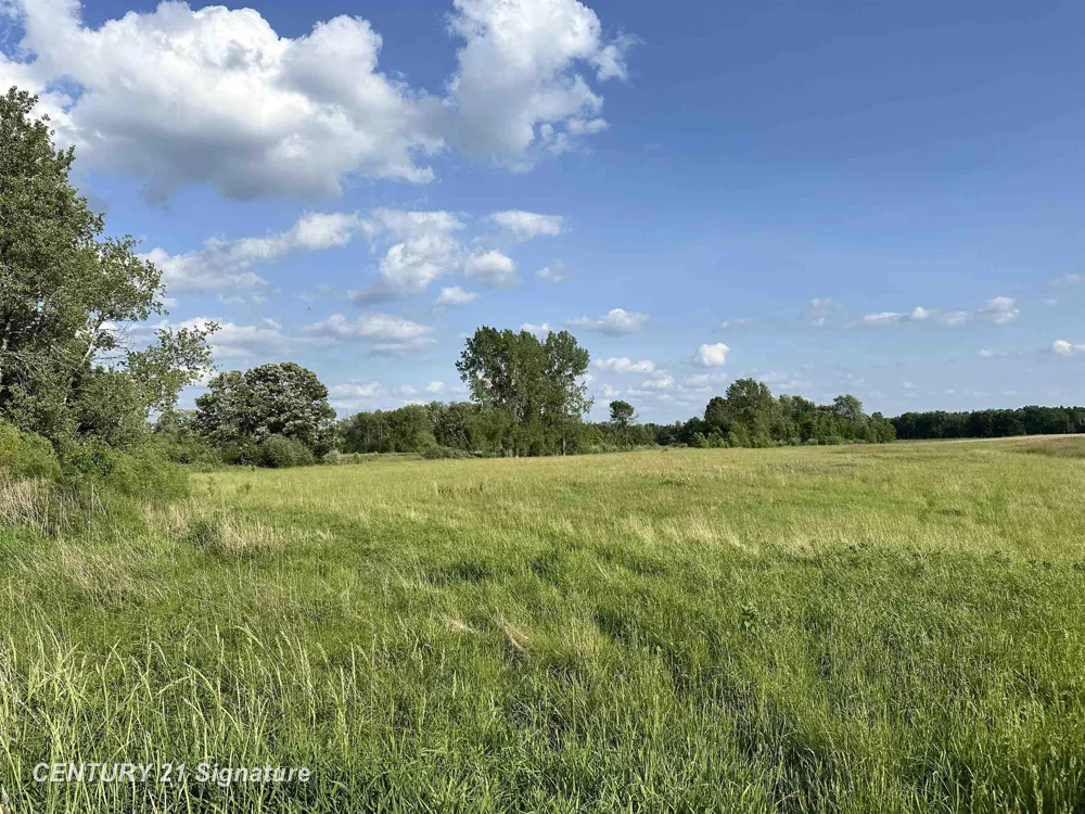 60 Estey Road Billings Township, MI 48612