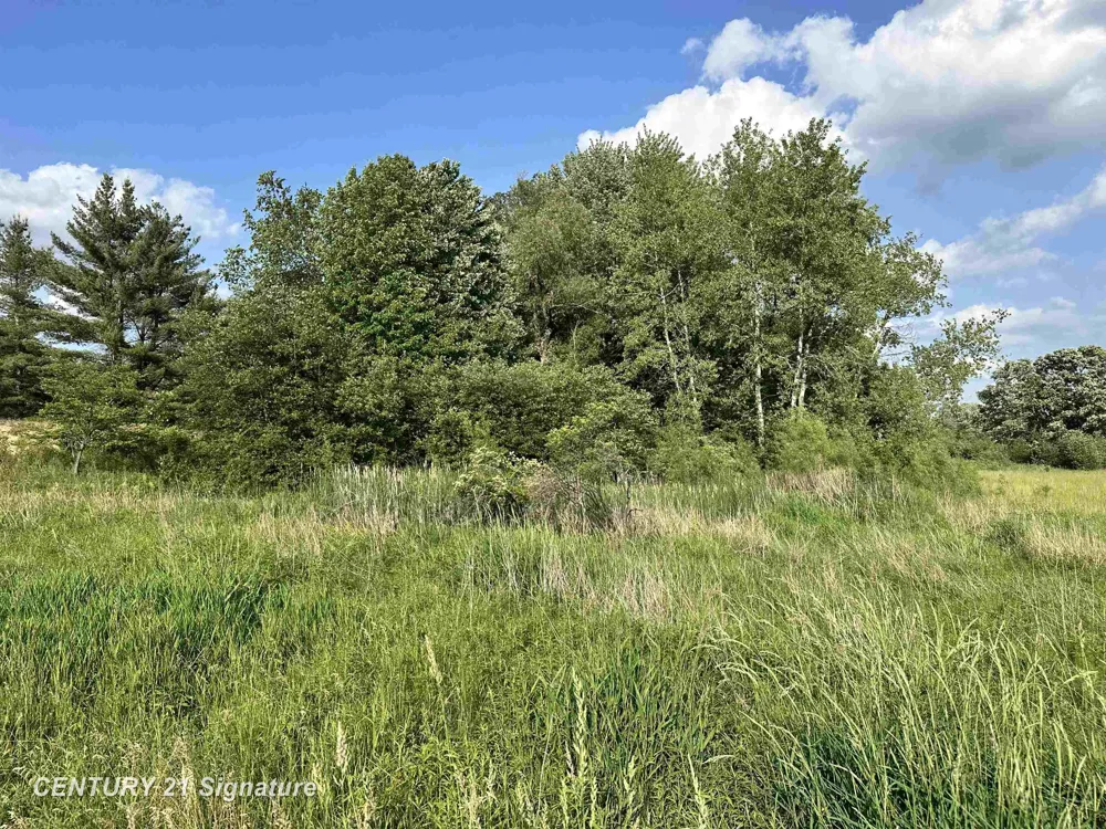 60 Estey Road Billings Township, MI 48612