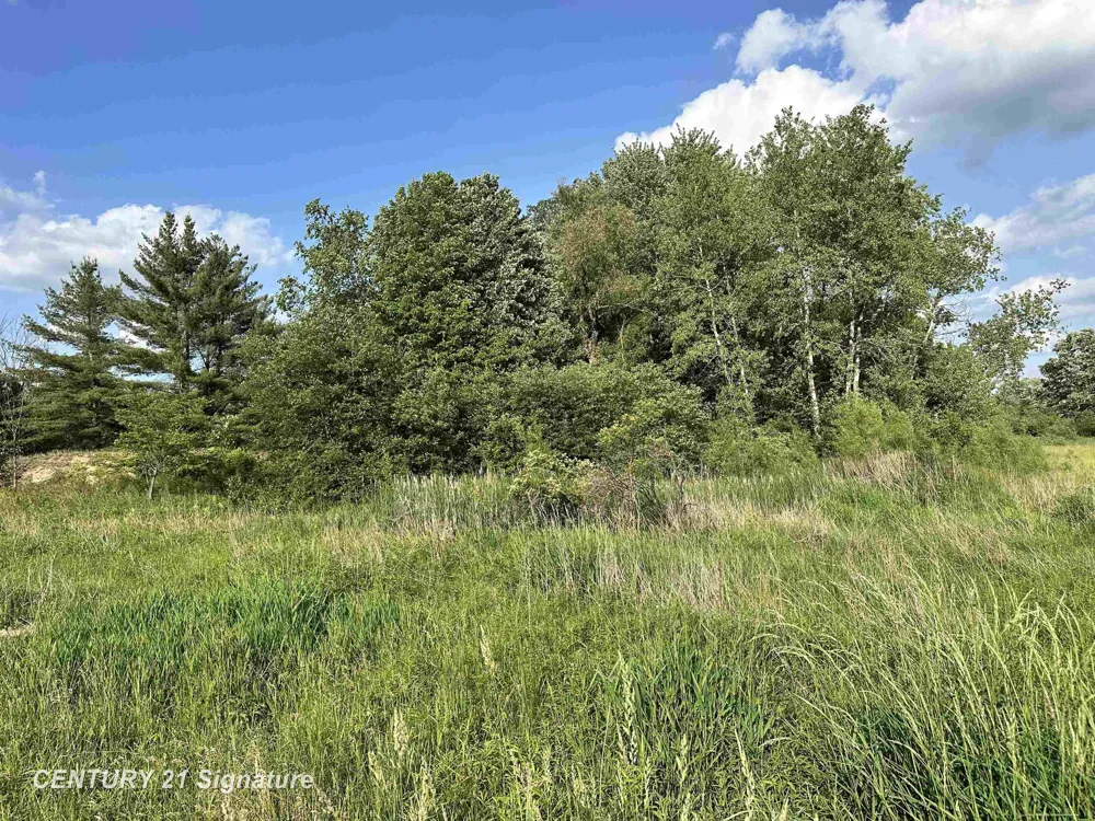 60 Estey Road Billings Township, MI 48612