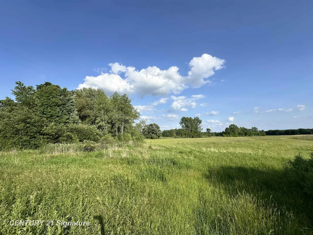 60 Estey Road Billings Township, MI 48612