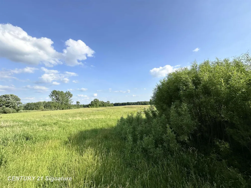 60 Estey Road Billings Township, MI 48612