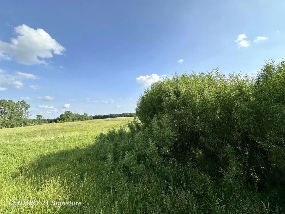 60 Estey Road Billings Township, MI 48612
