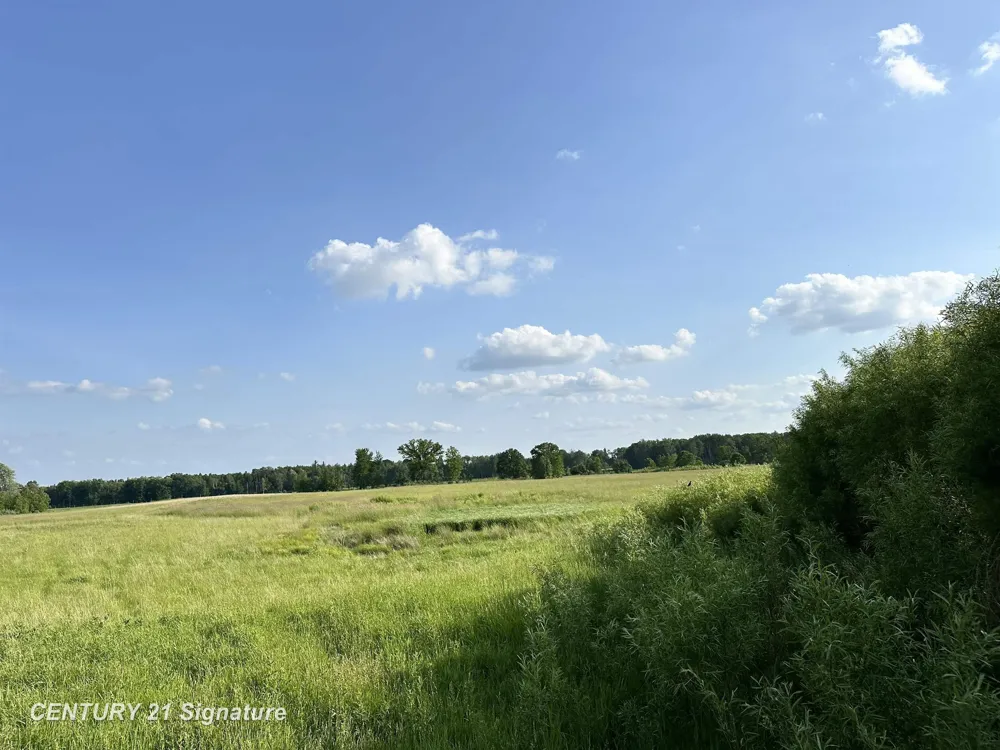 60 Estey Road Billings Township, MI 48612