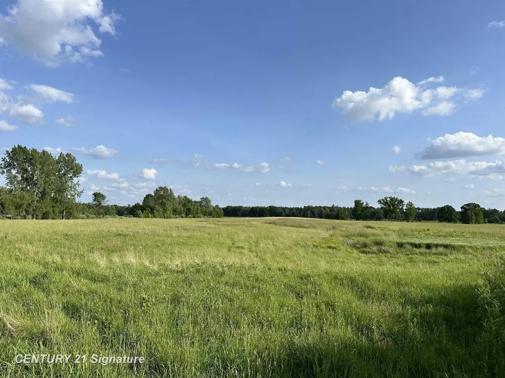 60 Estey Road Billings Township, MI 48612