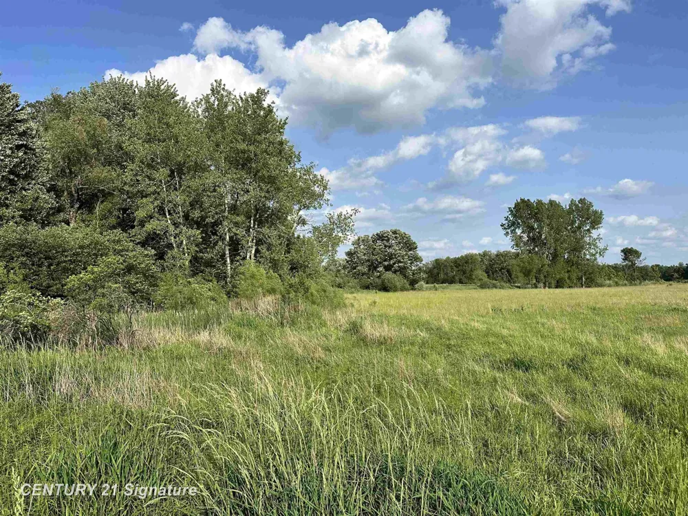 60 Estey Road Billings Township, MI 48612