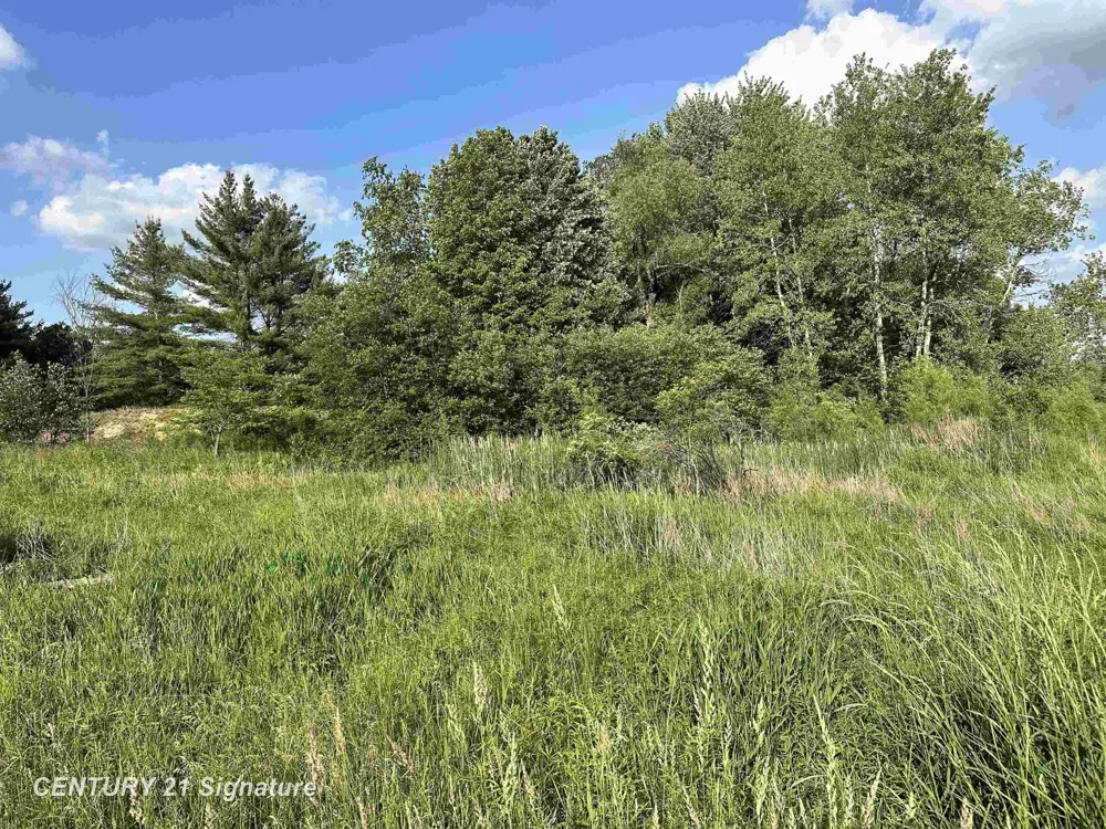60 Estey Road Billings Township, MI 48612