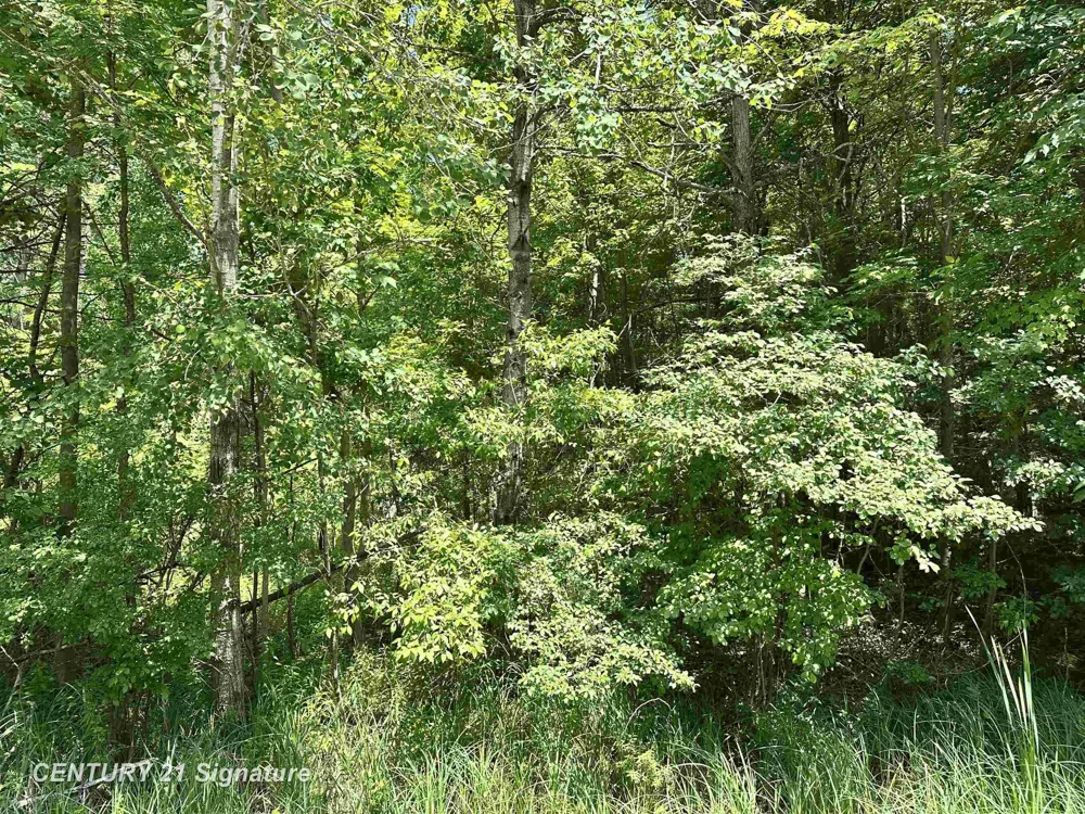 Pinconning Road Billings Township, MI 48612