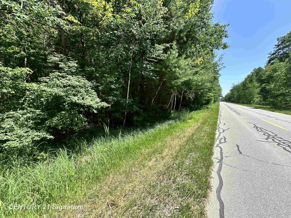 Pinconning Road Billings Township, MI 48612
