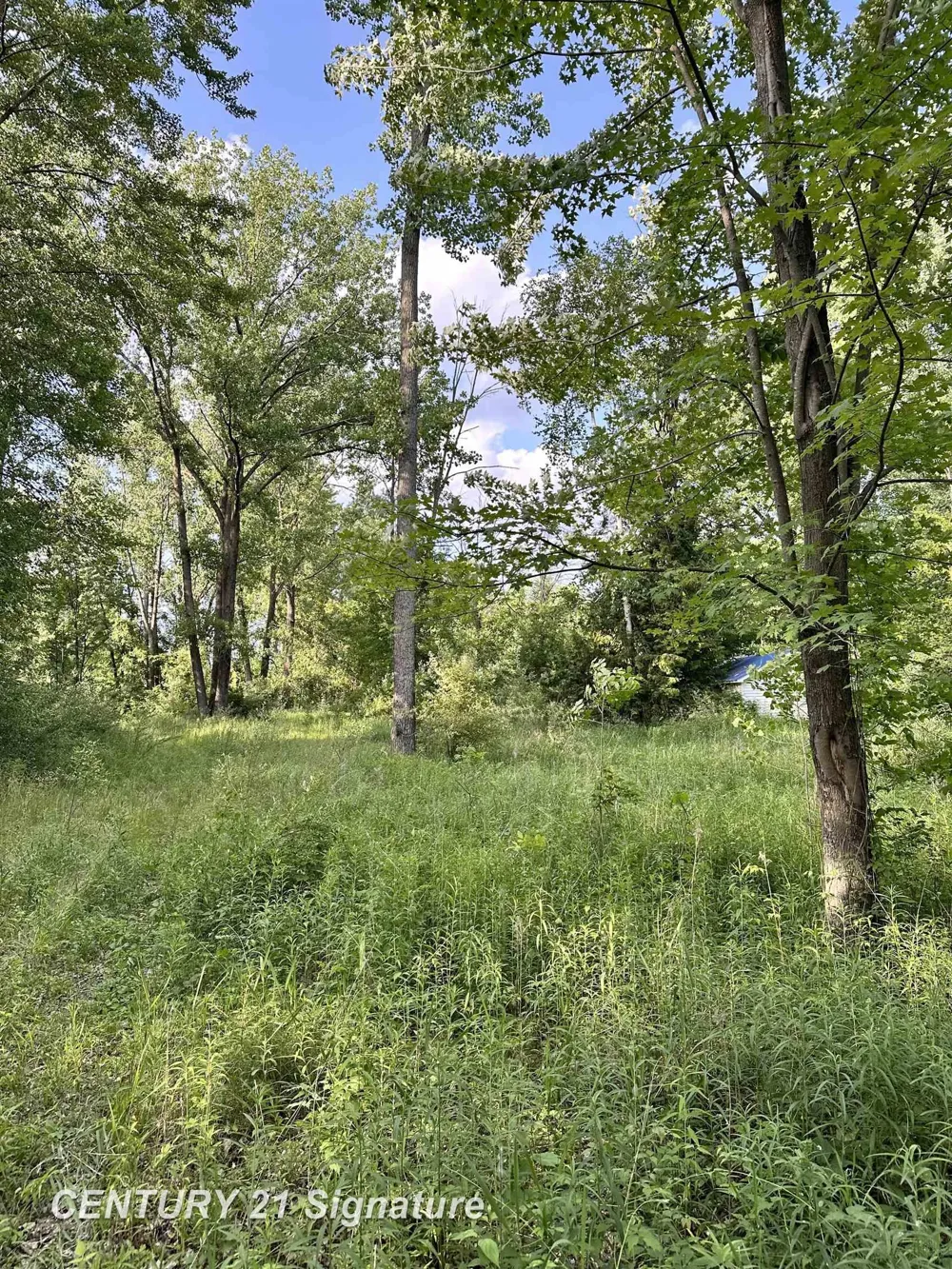 4020 Wieman Road Billings Township, MI 48612