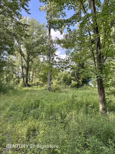 4020 Wieman Road