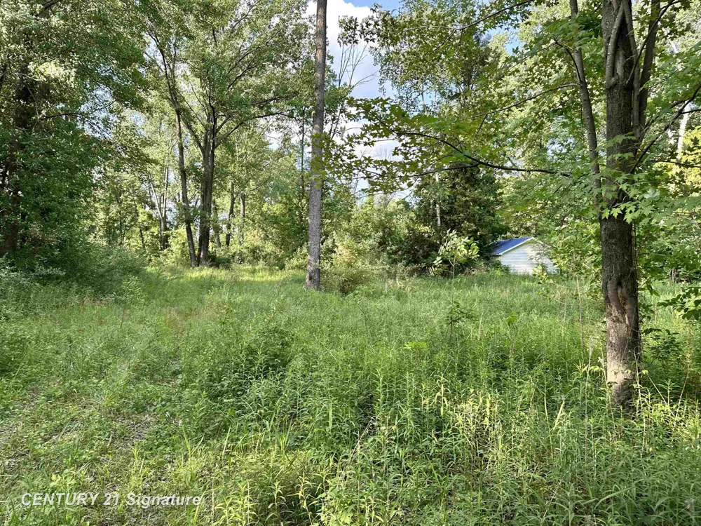 4020 Wieman Road Billings Township, MI 48612