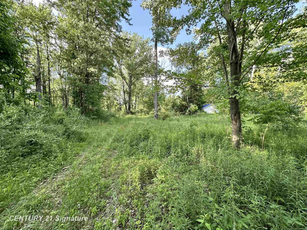 4020 Wieman Road Billings Township, MI 48612