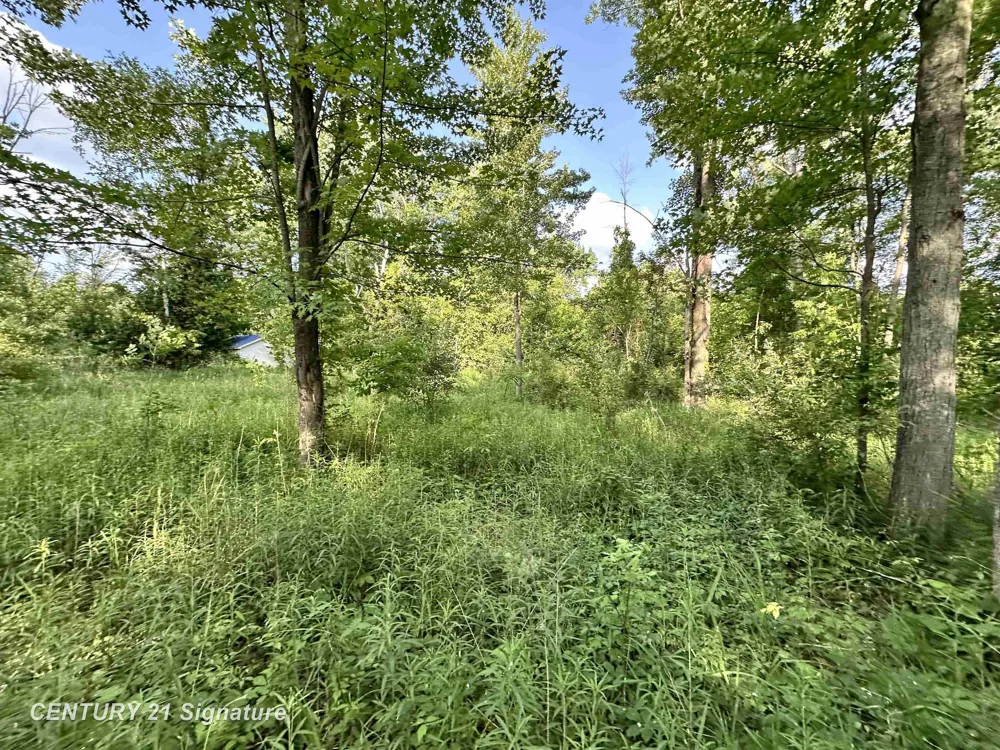 4020 Wieman Road Billings Township, MI 48612