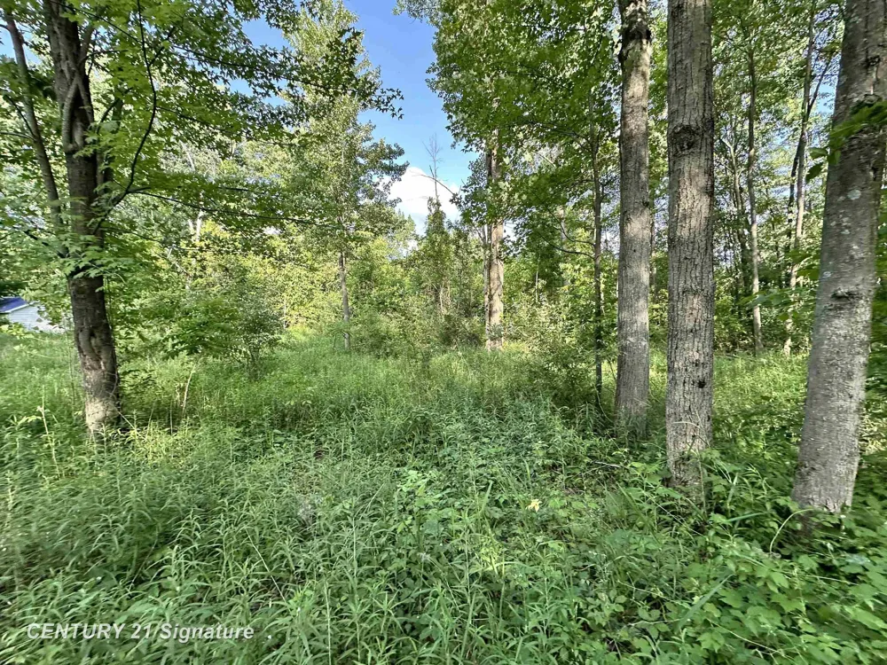 4020 Wieman Road Billings Township, MI 48612