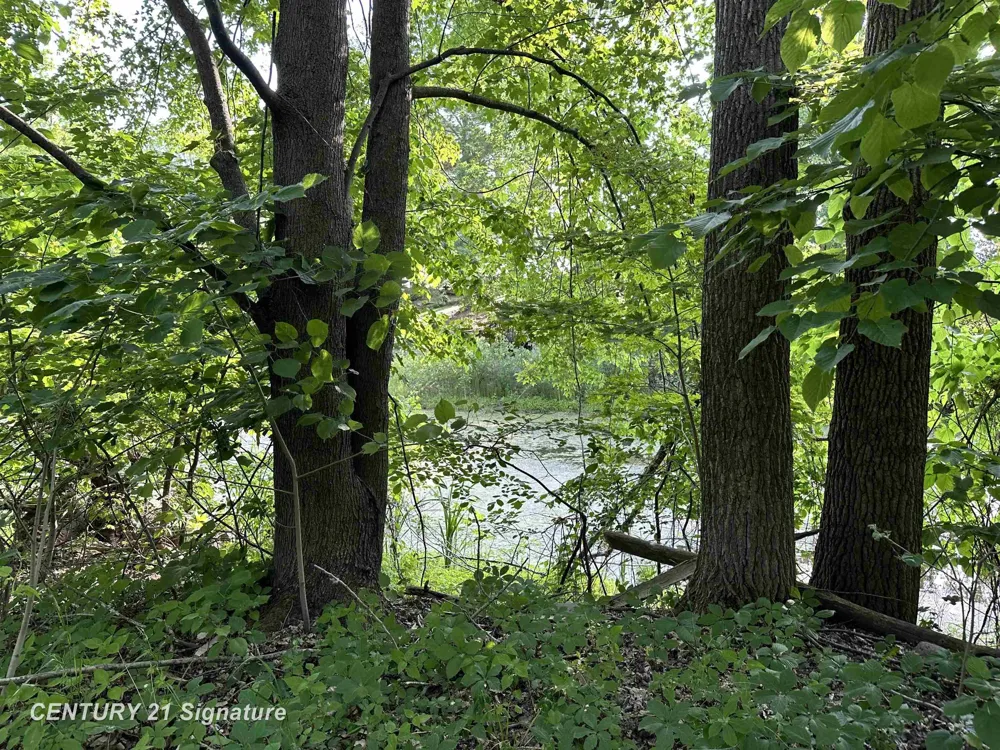 4020 Wieman Road Billings Township, MI 48612