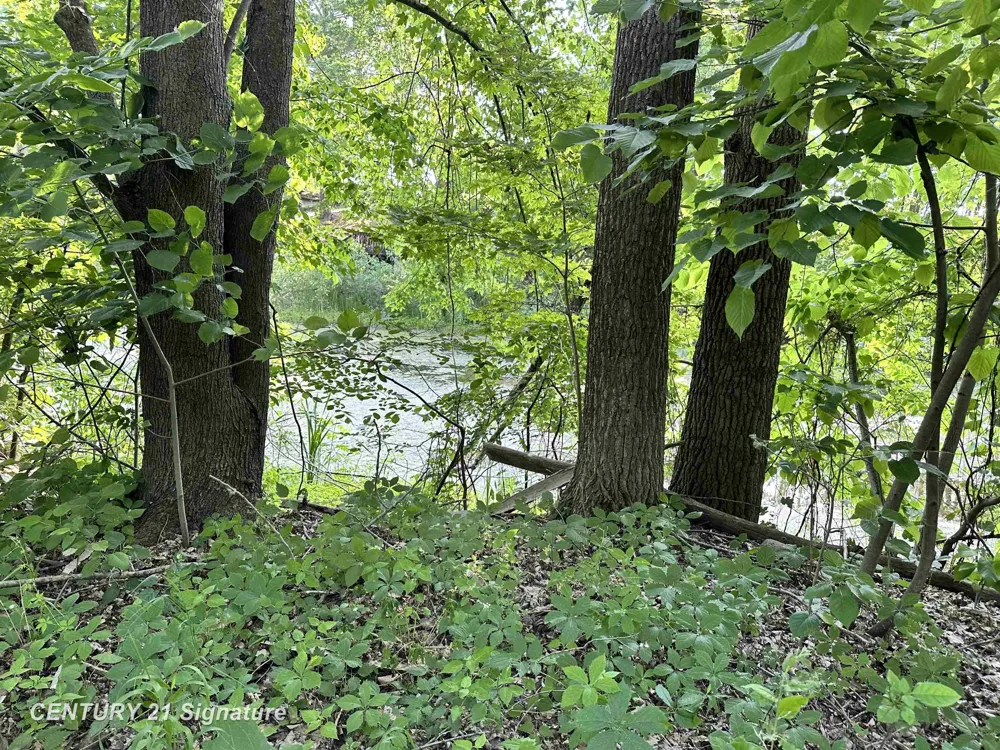 4020 Wieman Road Billings Township, MI 48612