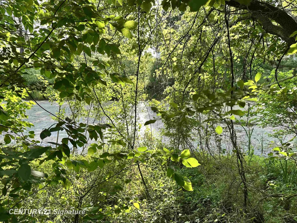 4020 Wieman Road Billings Township, MI 48612