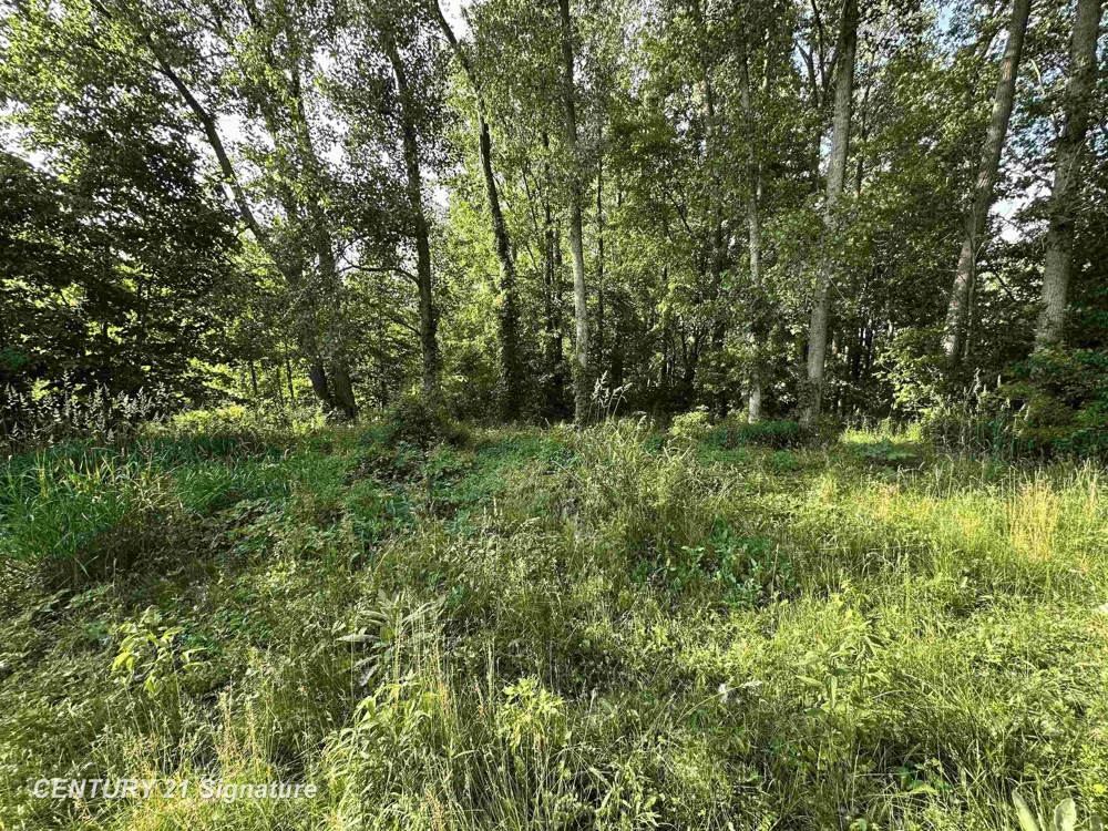 4020 Wieman Road Billings Township, MI 48612