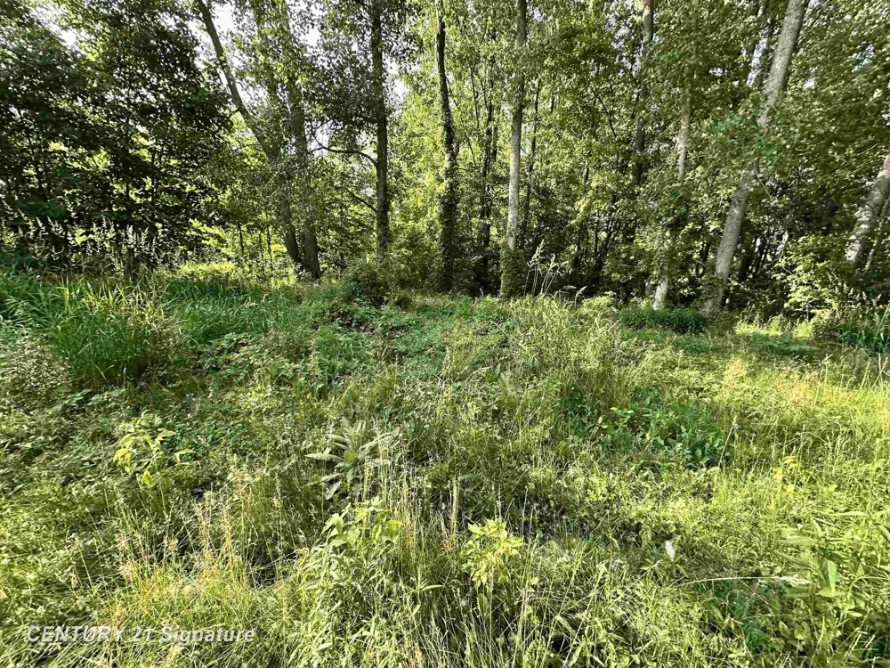 4020 Wieman Road Billings Township, MI 48612