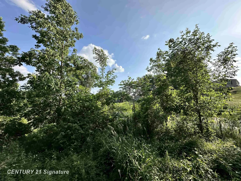 4020 Wieman Road Billings Township, MI 48612