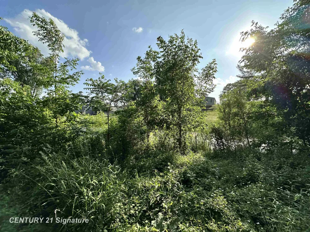 4020 Wieman Road Billings Township, MI 48612