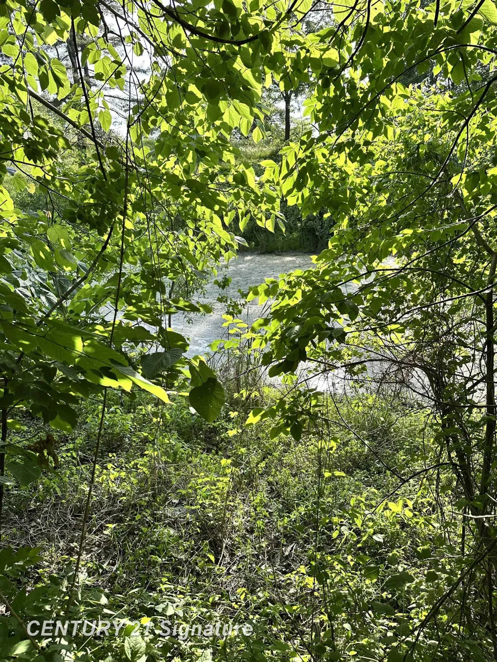 4020 Wieman Road Billings Township, MI 48612