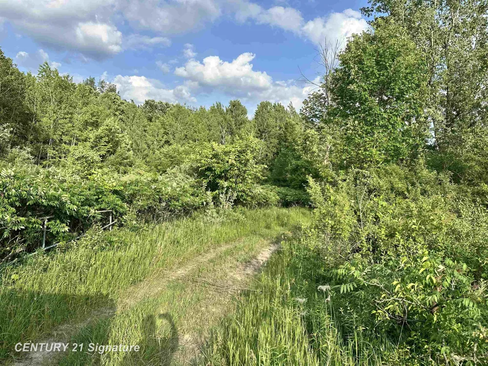 4020 Wieman Road Billings Township, MI 48612